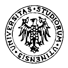 Logo UNIVERSITÀ DEGLI STUDI DI UDINE
